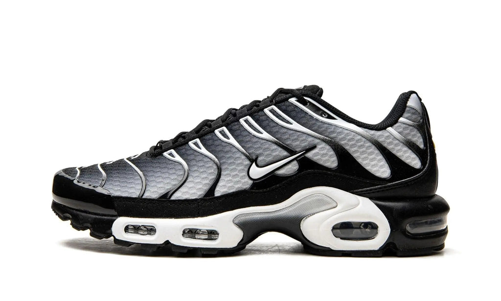 Nike Air Max Plus TN
"Black / Silver"