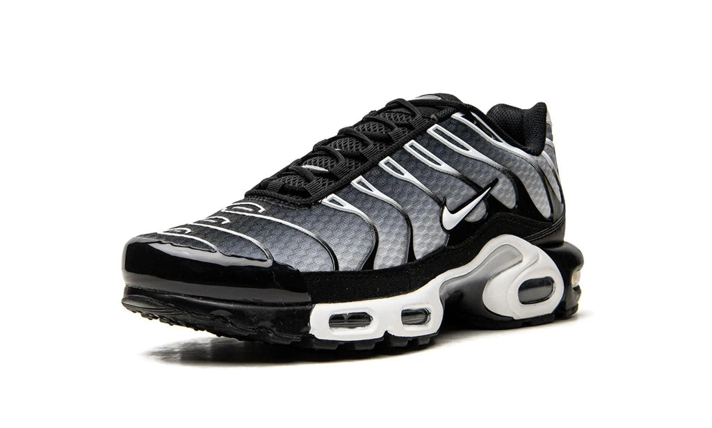 Nike Air Max Plus TN
"Black / Silver"