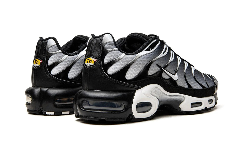 Nike Air Max Plus TN
"Black / Silver"